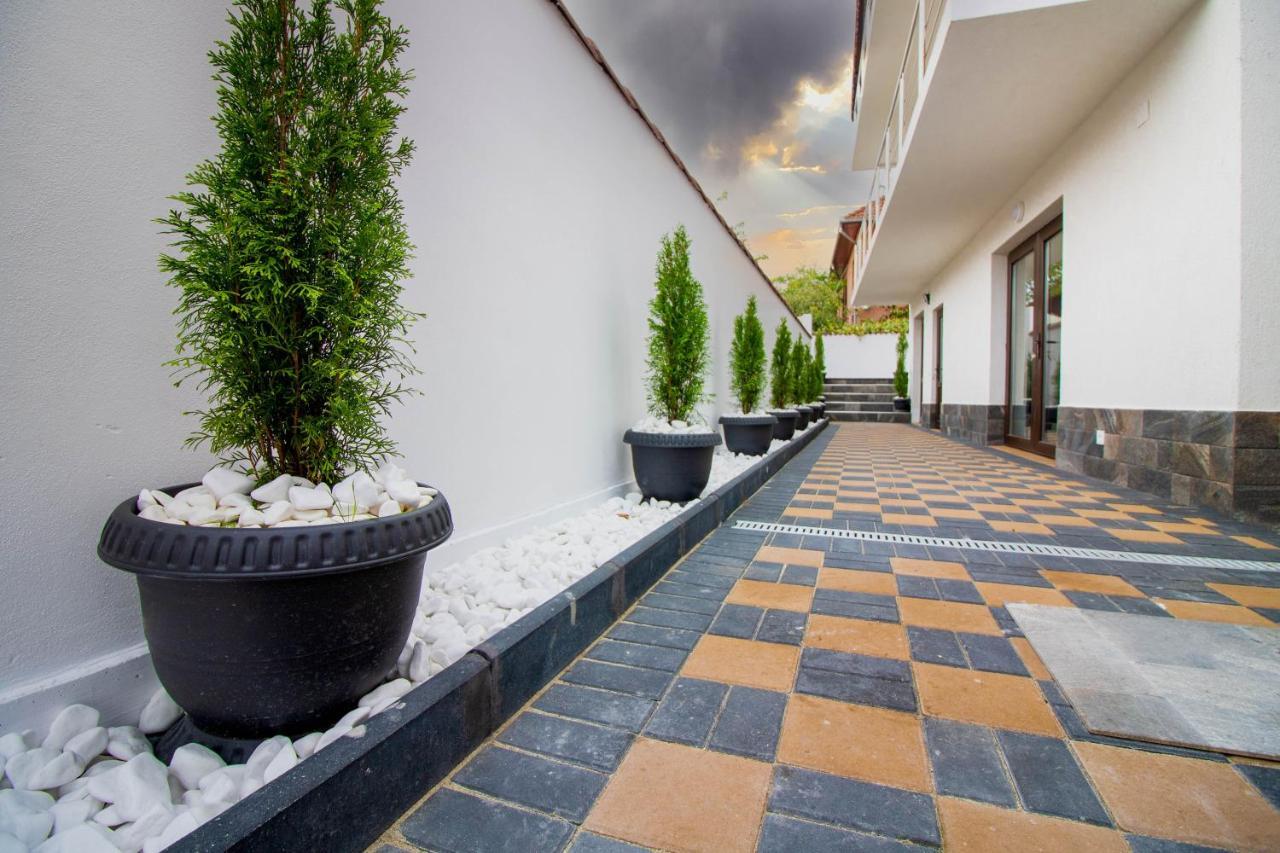 Pensiunea D & Ylan Hotell Novaci-Străini Exteriör bild